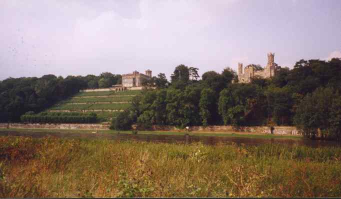 zwei von den Elbschößer von Dresden